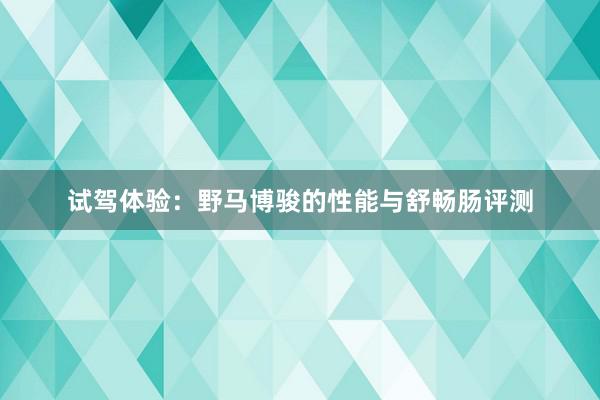 试驾体验：野马博骏的性能与舒畅肠评测